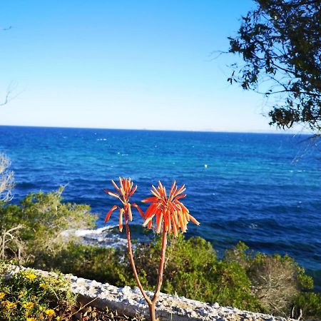 Villa La Zenia 25 Playa Flamenca Εξωτερικό φωτογραφία