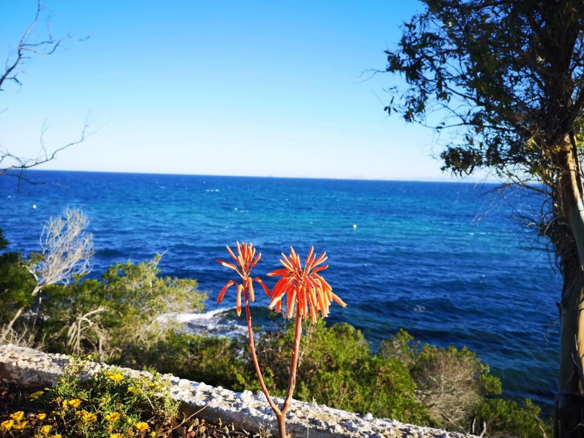 Villa La Zenia 25 Playa Flamenca Εξωτερικό φωτογραφία